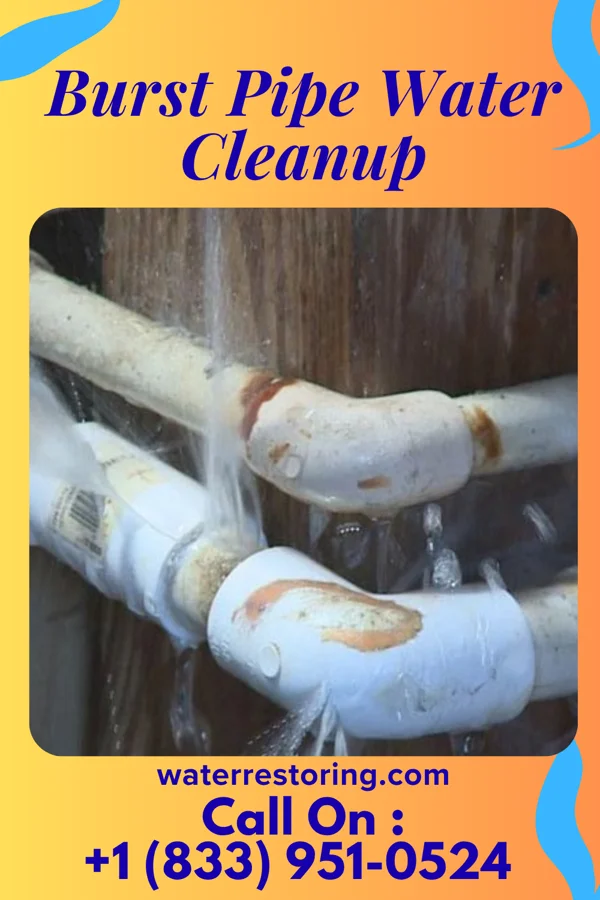 Burst Pipe Water Cleanup in Lordship, CT