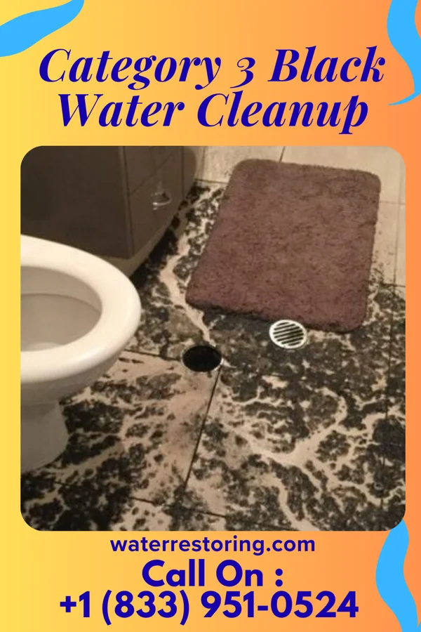 Category 3 Black Water Cleanup in Lordship, CT