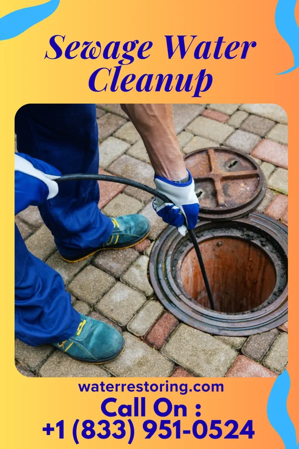 Sewage Water Cleanup in Lordship, CT